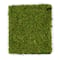 6 Pack: SuperMoss® Instant Green All-Purpose Moss Mat